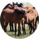 Pedro del Rey Egido profile picture