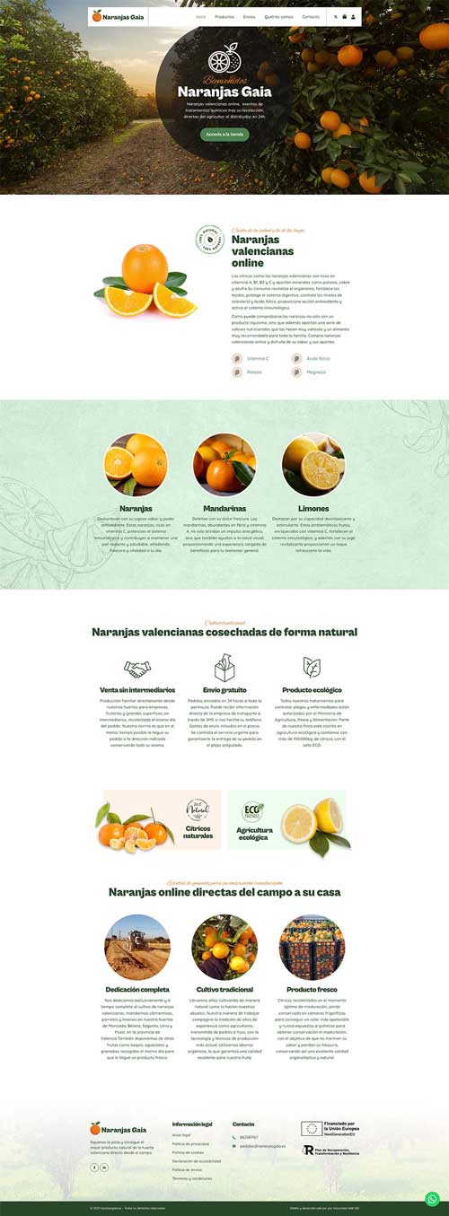 Diseño web para tienda online de naranjas