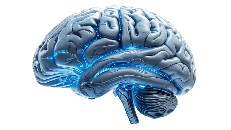 cerebro de ia - soluciones web 365 SL